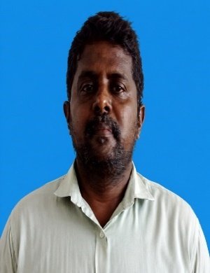 Saravan Kumar P