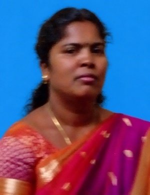 Santhana Selvi P